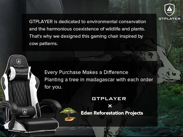 GTPLAYER Gaming Chair Gamer Chair Ergonomic Office Chair Footrest Adjustable Lumbar & Pillows Gaming Chair