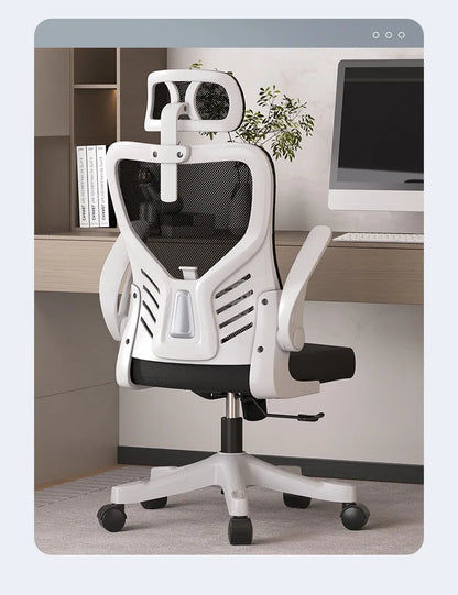 Office chairComputer  Office  Ergonomic  Office Sedentary Learning  Mahjong  Conference  Dormitory