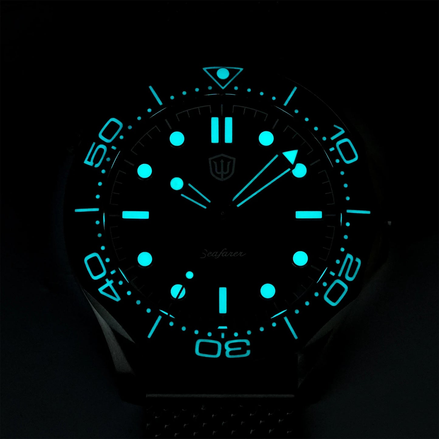 Watchdives WD007Q Diver Watch VH31 Sweep Second Quartz Movement Luminous Domed Sapphire Crystal Watches 42mm Titanium Watches