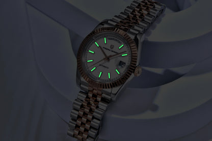 PAGANI DESIGN Enamel Dial 2026 New DD36 Men's Watches Silver Gold Luxury Automatic Watch Men Waterproof Mechanical Wristwatch
