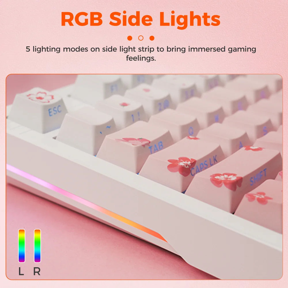 DAREU Tri-mode Gasket Mechanical Keyboard N-Key Rollover Anti-ghosting RGB Backlight Dream switch with Multi Media Button