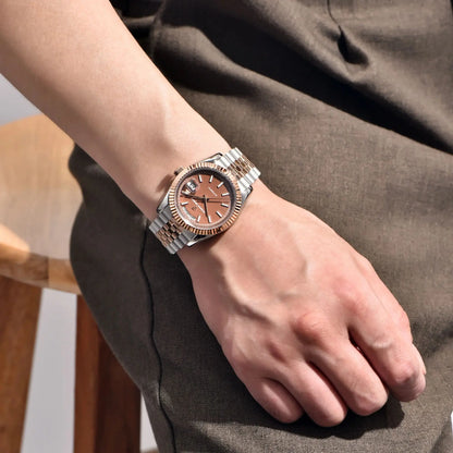 PAGANI DESIGN Enamel Dial 2026 New DD36 Men's Watches Silver Gold Luxury Automatic Watch Men Waterproof Mechanical Wristwatch