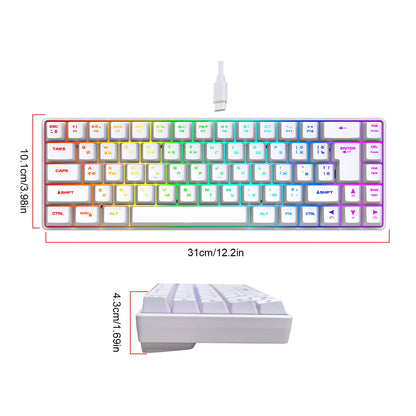 Teclado Mecânico Gaming Russo-Inglês de 68 Teclas, Teclado Bilingue com Retroiluminação RGB para Gaming