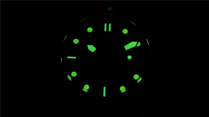 PAGANI DESIGN Men's Watches Mechanical Automatic Watch Sport Ceramic Bezel Luminous Stainless Steel Waterproof Top Watch for Men