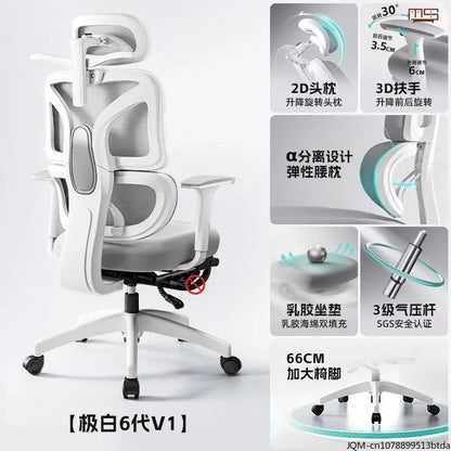 Comfortable Ergonomic Study Chair, Waist Support for Long Periods of Sitting, Lift Chair, Home Computer Swivel Office Chair