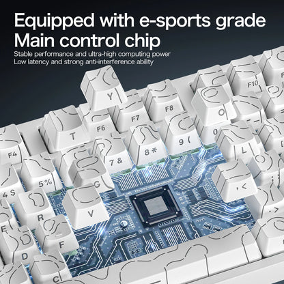 ATTACK SHARK R82HE Gaming Keyboard Magnetic 75% Wired 8000Hz Rapid Trigger ProGamer Keyboard, 0.005mm RT Accuracy, 0.08ms Latency