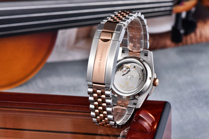 PAGANI DESIGN Enamel Dial 2026 New DD36 Men's Watches Silver Gold Luxury Automatic Watch Men Waterproof Mechanical Wristwatch