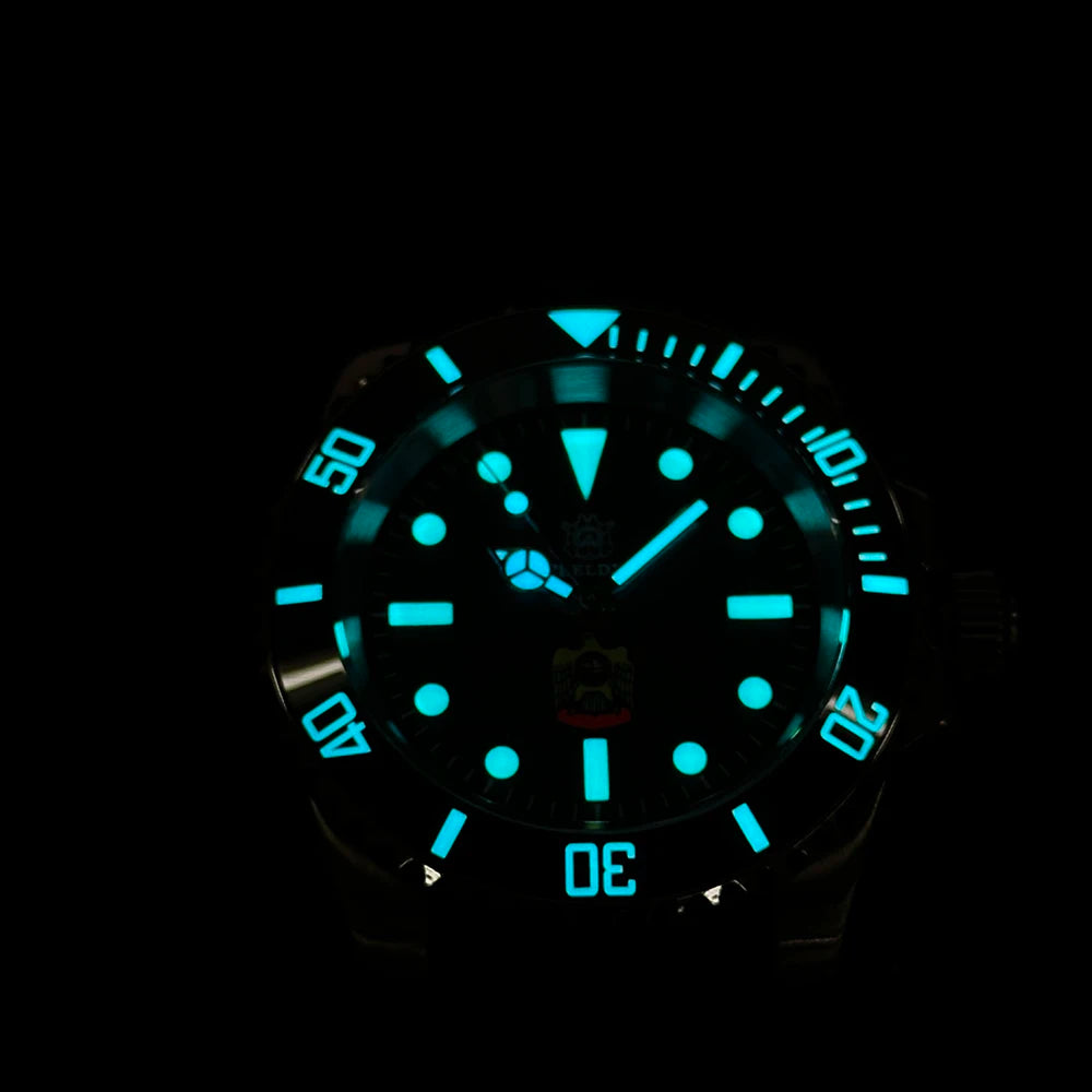 STEELDIVE SD1954 Black Dial 41MM Stainless Steel NH35 Automatic Movement What Ghost Mens 300M Dive Watch  Sapphire Glass
