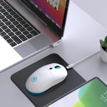 Rechargeable 2.4G USB Wireless Mouse Adjustable 3600dpi 7 Colors RGB Comfortable Mice for Home Office Laptop Computer Gamer