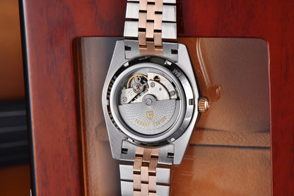 PAGANI DESIGN Enamel Dial 2026 New DD36 Men's Watches Silver Gold Luxury Automatic Watch Men Waterproof Mechanical Wristwatch