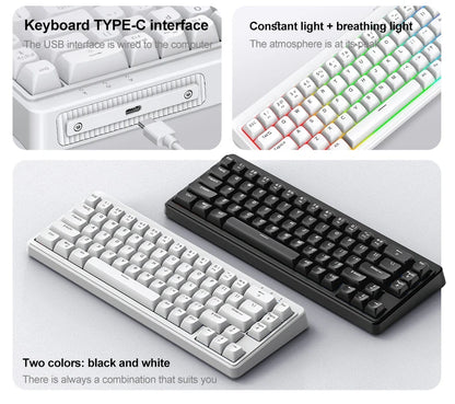 FREEWOLF M68SE Tastiera con sensazione meccanica, 68 tasti, mini tastiera compatta cablata e silenziosa per laptop, gaming e uso ufficio