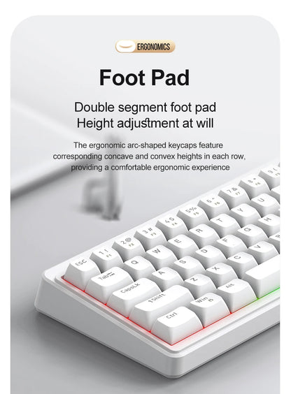 FREEWOLF M68SE Teclado mini con cable de 68 teclas, retroiluminación RGB, Type-C, diseño 68%, compacto para gaming, oficina, PC y portátil