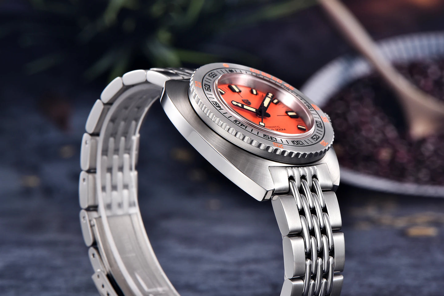 PAGANI DESIGN 2025 New Men's Automatic Mechanical Divers Watches NH38 Sapphire Stainless Steel 300m Waterproof AR Watch for Men