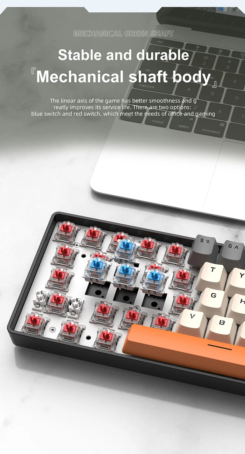 Teclado mecánico gaming con cable APAYADO K61 60% Mini Phantom RGB, 61 teclas, switch rojo/azul, ergonómico y portátil para PC/portátil