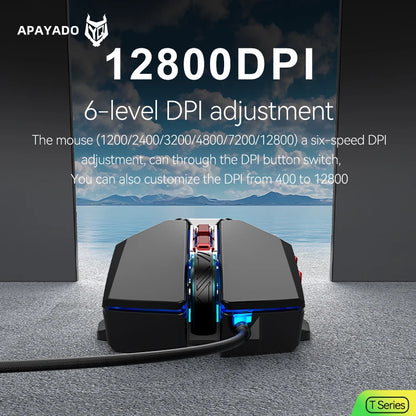 1K Hz Gaming Mouse Wired APAYADO T4 RGB Mouse with Ultra-light Cord 60IPS, 12800DPI for Laptop/Computer