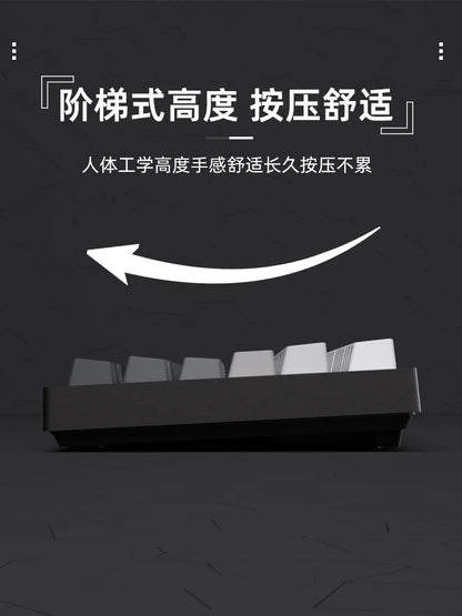 2025 Original Daylight Keycaps PBT Translucent, Side-engraved OEM 136 Keys, Customized To Fit 60/84/98/108 Mechanical Keyboards.