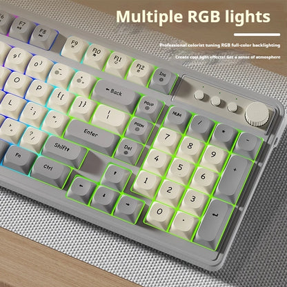 EWEADN G98 Gaming Office Keyboard, film with rainbow Backlit USB Wired Computer External Quiet, Digital area, Digh appearance
