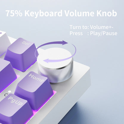 AJAZZ AK820 75% Wired Mechanical Keyboard: Hot‑Swappable, RGB/White/Ice‑Blue Backlit, Volume Knob Control | For Office & Gaming